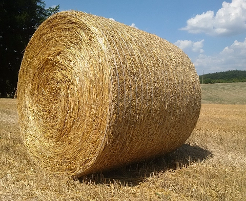 Bild zum Abschnitt Ihr Hersteller und Lieferant